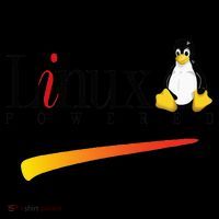Linux Os Powered By Linux Tux Penguin Kids Colorblock Raglan Jersey thumb 2