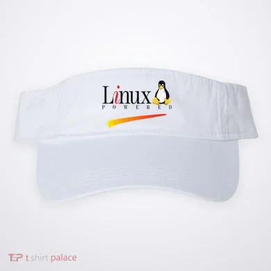 Visor
