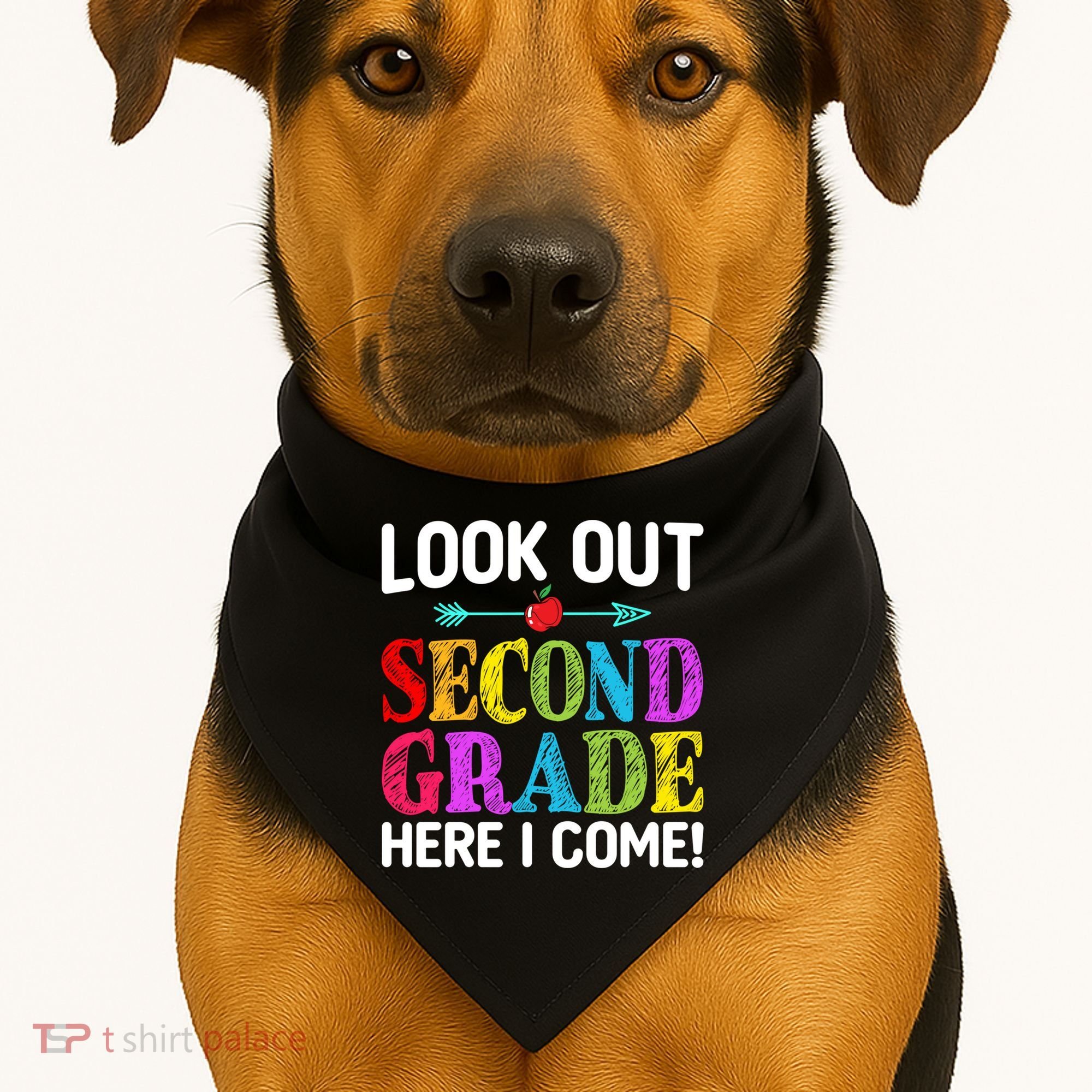 Look Out Second Grade Here I Come First Day Back To School Gift USA-Made Doggie Bandana