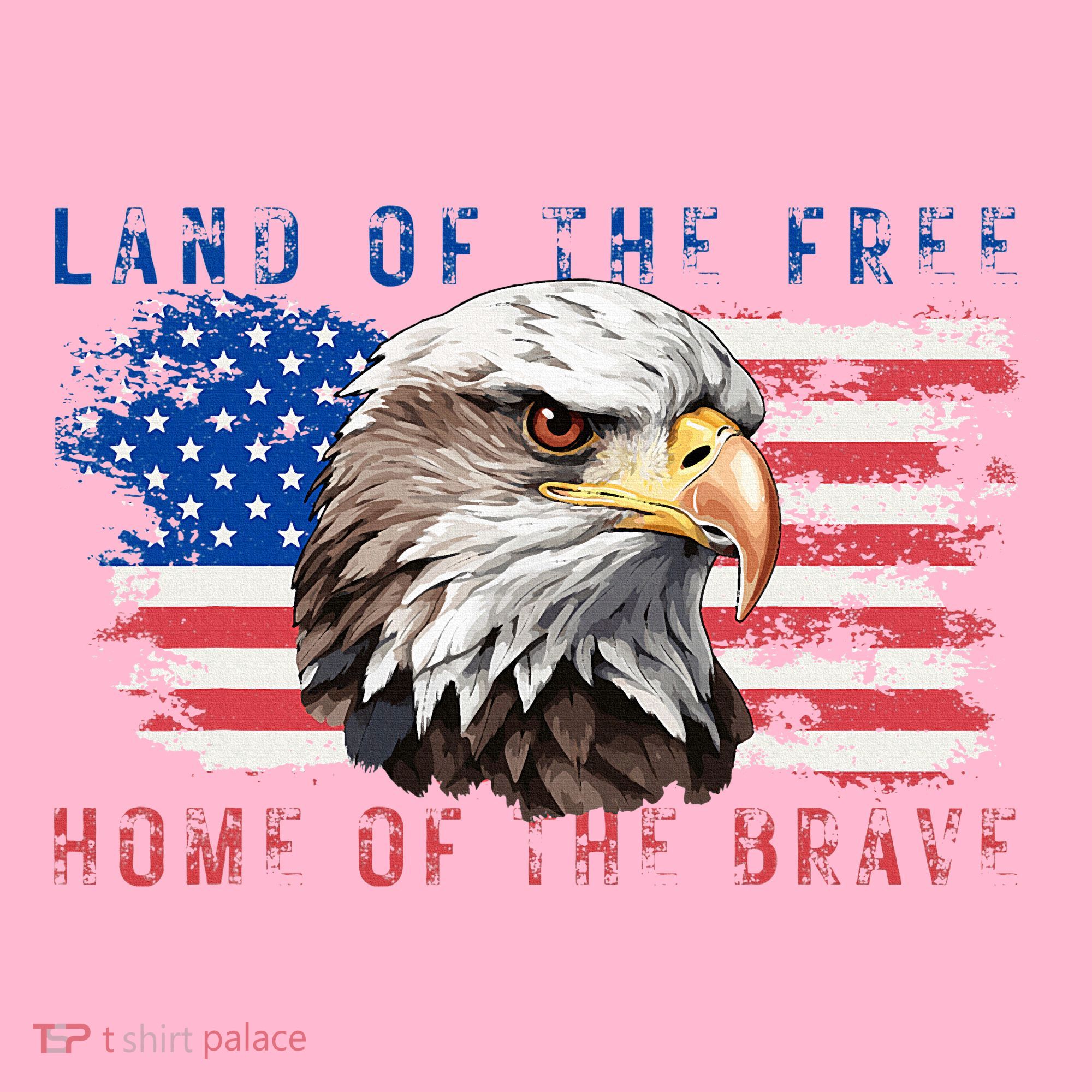 Land Of The Free Home Of The Brave Bald Eagle Us Flag T-Shirt