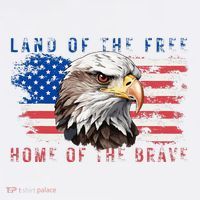 Land Of The Free Home Of The Brave Bald Eagle Us Flag Women's Hoodie thumb 2