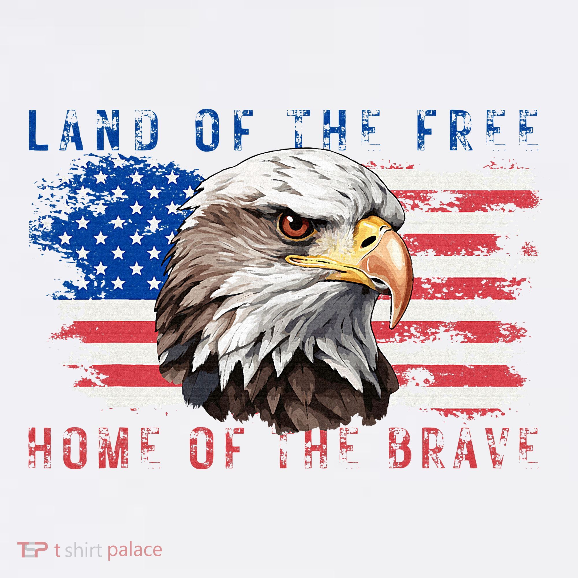Land Of The Free Home Of The Brave Bald Eagle Us Flag Women's Tank Top