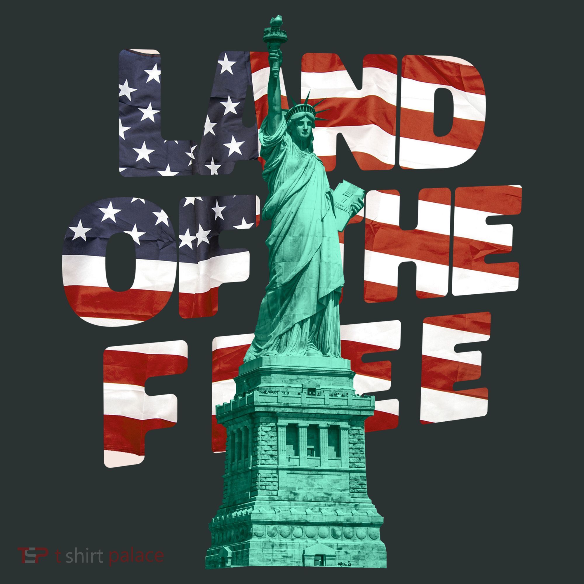 Land Of The Free Statue Of Liberty American Flag T-Shirt