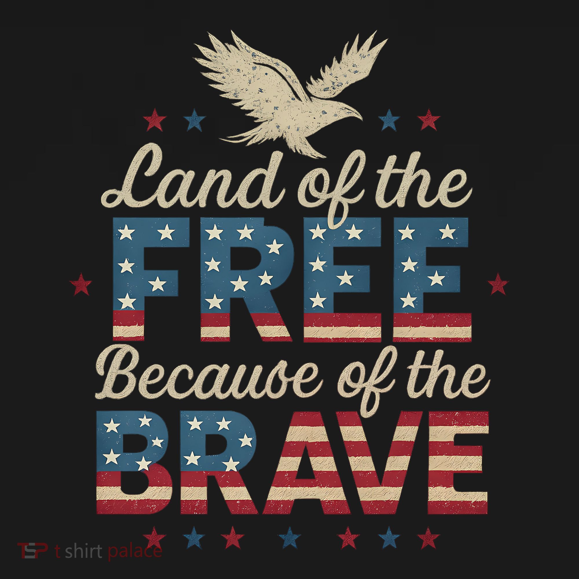 Land of the Free Because of the Brave T-Shirt