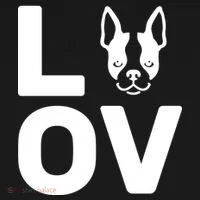 Love Boston Terrier  Kids Long Sleeve Shirt thumb 2