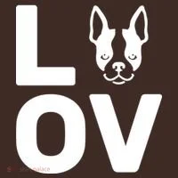 Love Boston Terrier  Kids Hoodie thumb 2
