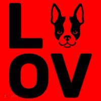 Love Boston Terrier  Santa Hat thumb 1