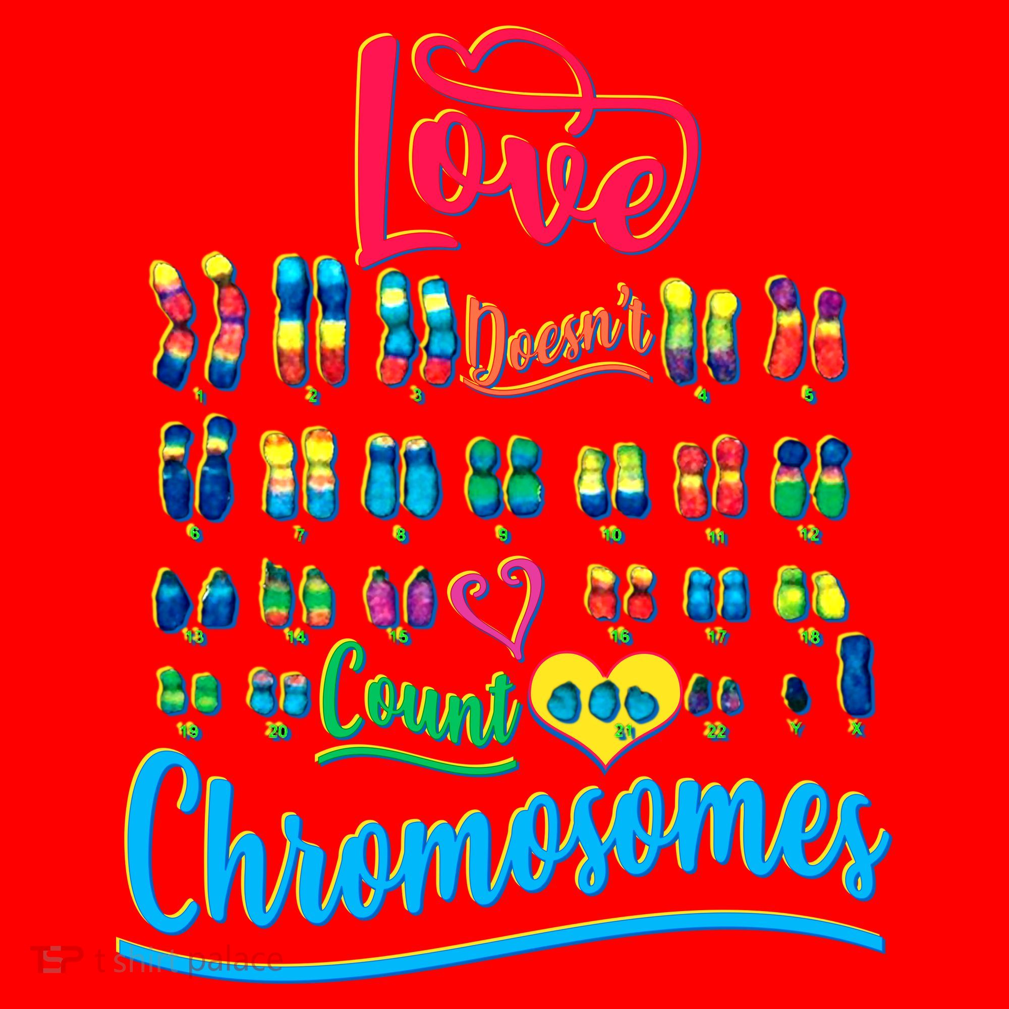 Love Doesn't Count Chromosomes Santa Hat