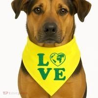 Love Earth Distressed Heart USA-Made Doggie Bandana thumb 1