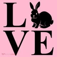 Love Easter Bunny Rabbit T-Shirt thumb 7