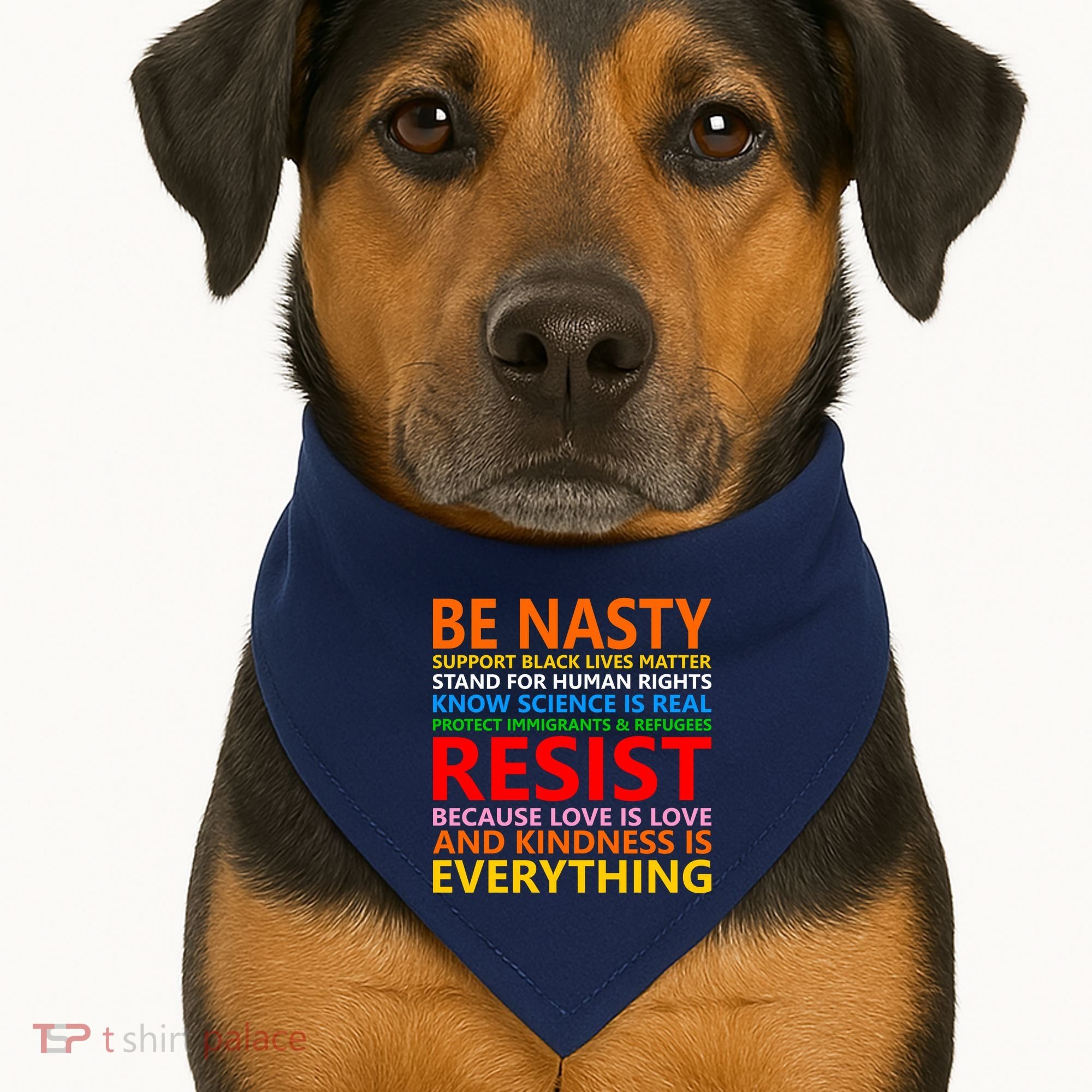 Love Is Love Kindness Is Everything Be Nasty Resist Protest USA-Made Doggie Bandana