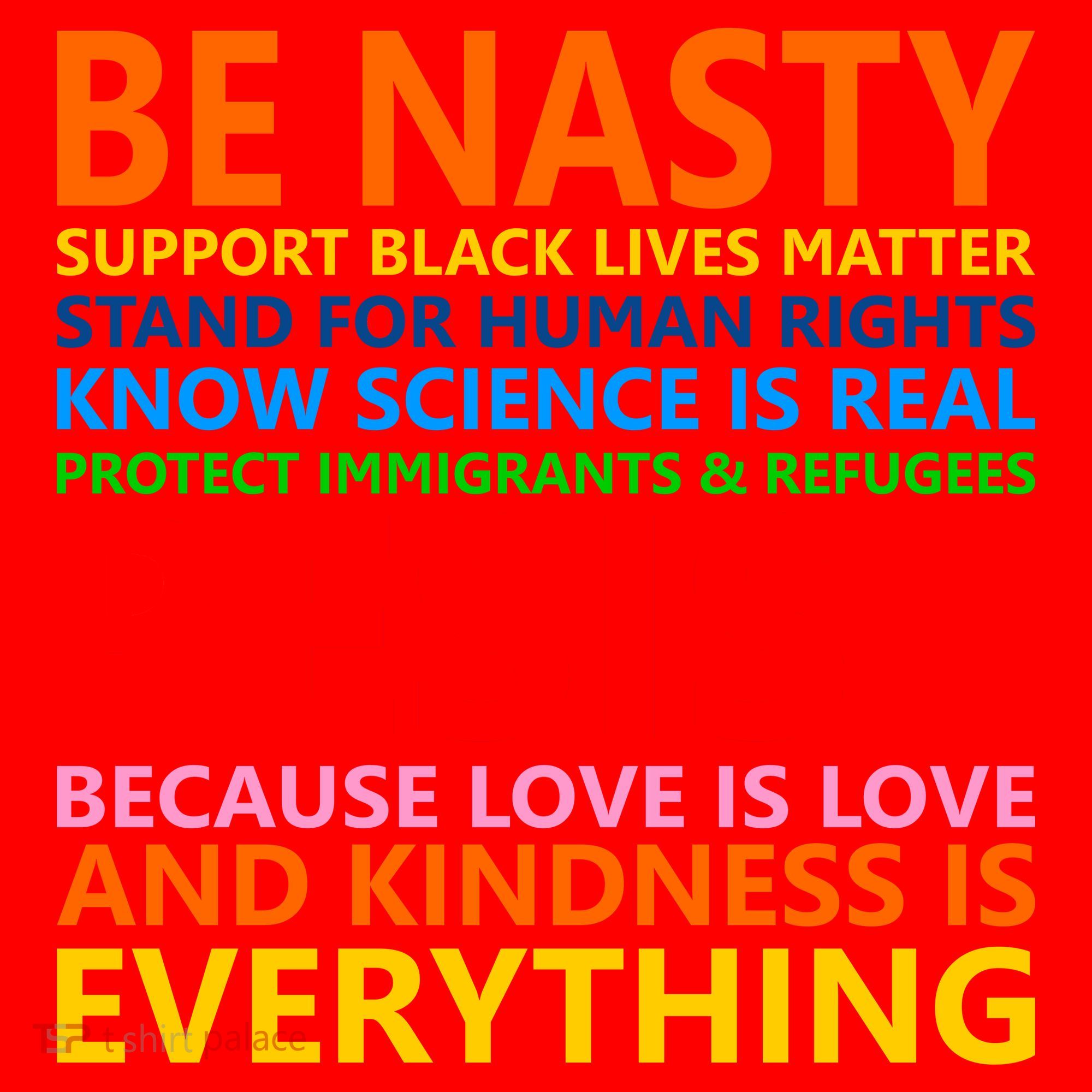 Love Is Love Kindness Is Everything Be Nasty Resist Protest Santa Hat