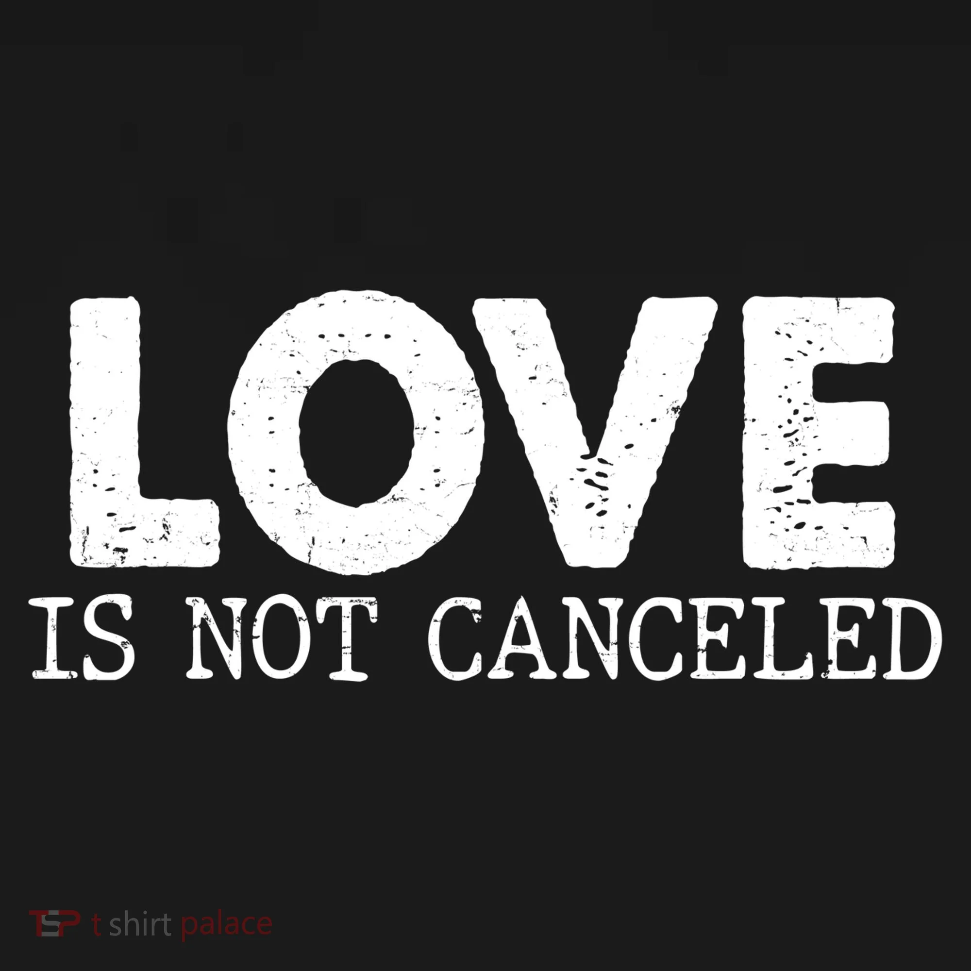 Love Is Not Canceled Kids T-Shirt