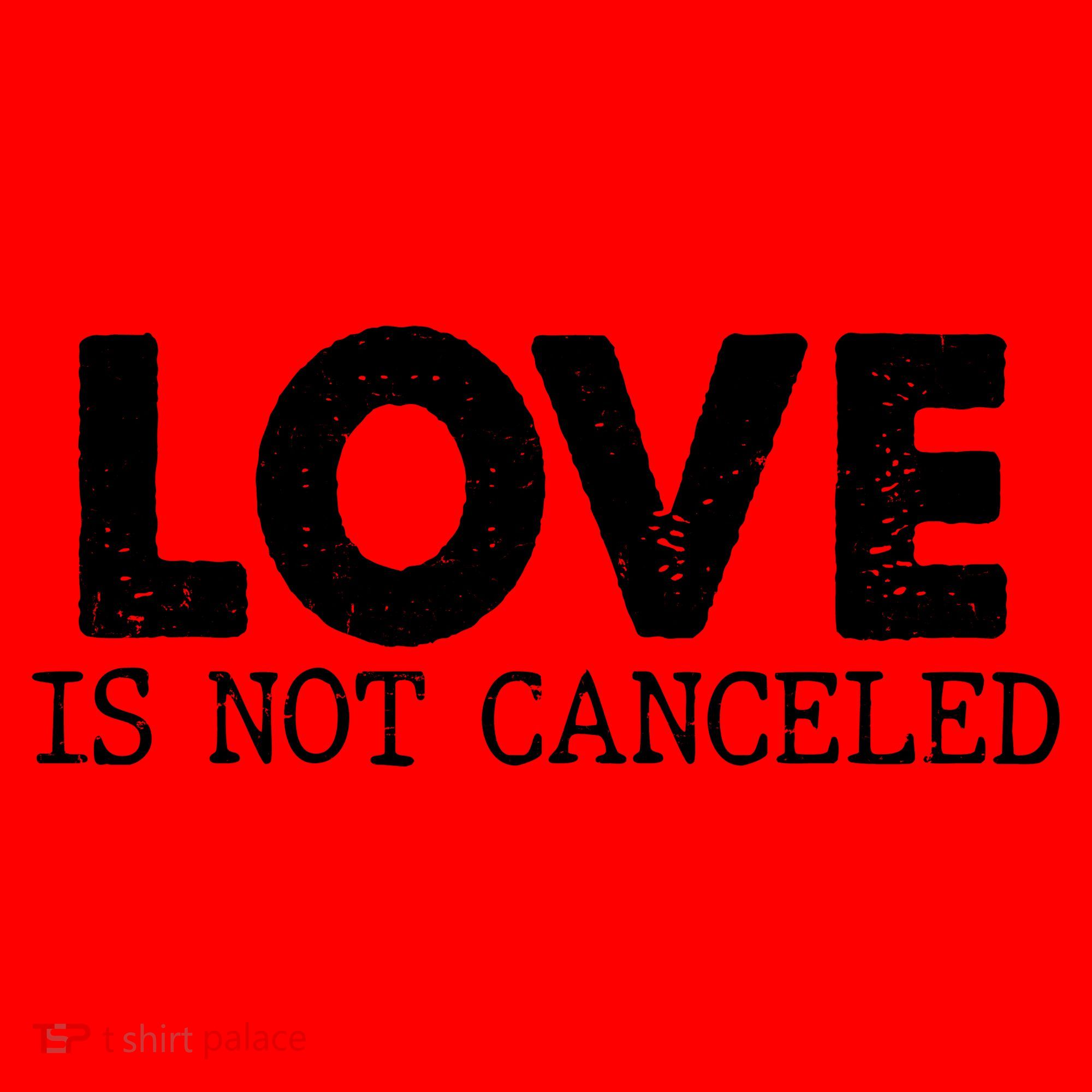 Love Is Not Canceled Santa Hat