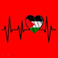Love Pakistan Flag Heartbeat Pulse Santa Hat thumb 1