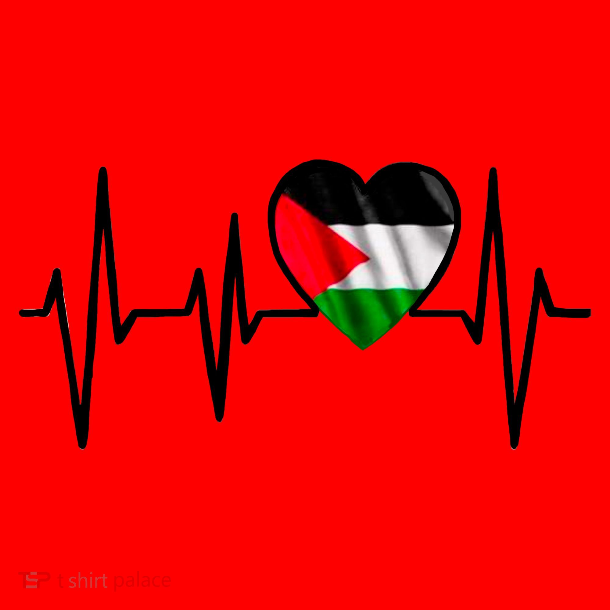 Love Pakistan Flag Heartbeat Pulse Santa Hat