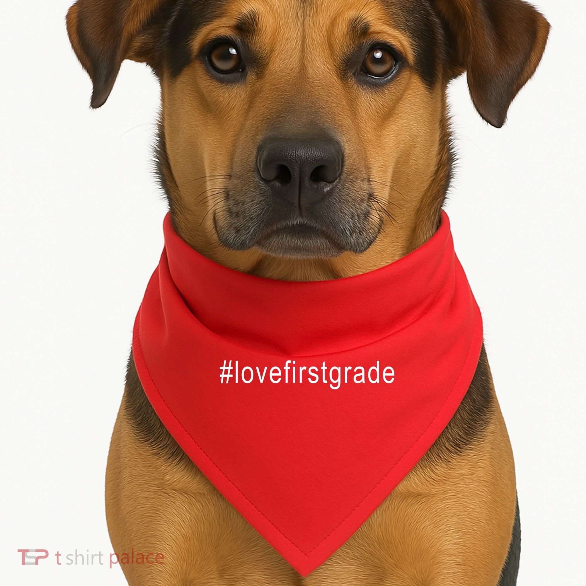 #Lovefirstgrade Love First Grade USA-Made Doggie Bandana