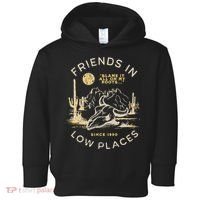 Low Places 90s Country Toddler Hoodie thumb 0