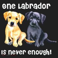 Labrador Pet Dog Funny T Gift Black Golden Yellow Lab Women's Sweatshirt thumb 2