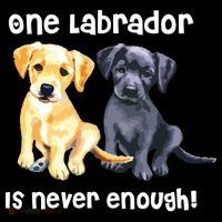 Labrador Pet Dog Funny T Gift Black Golden Yellow Lab Coffee Mug thumb 5