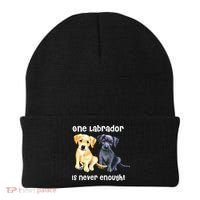 Labrador Pet Dog Funny T Gift Black Golden Yellow Lab Beanie thumb 0