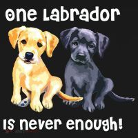 Labrador Pet Dog Funny T Gift Black Golden Yellow Lab Mousepad thumb 1