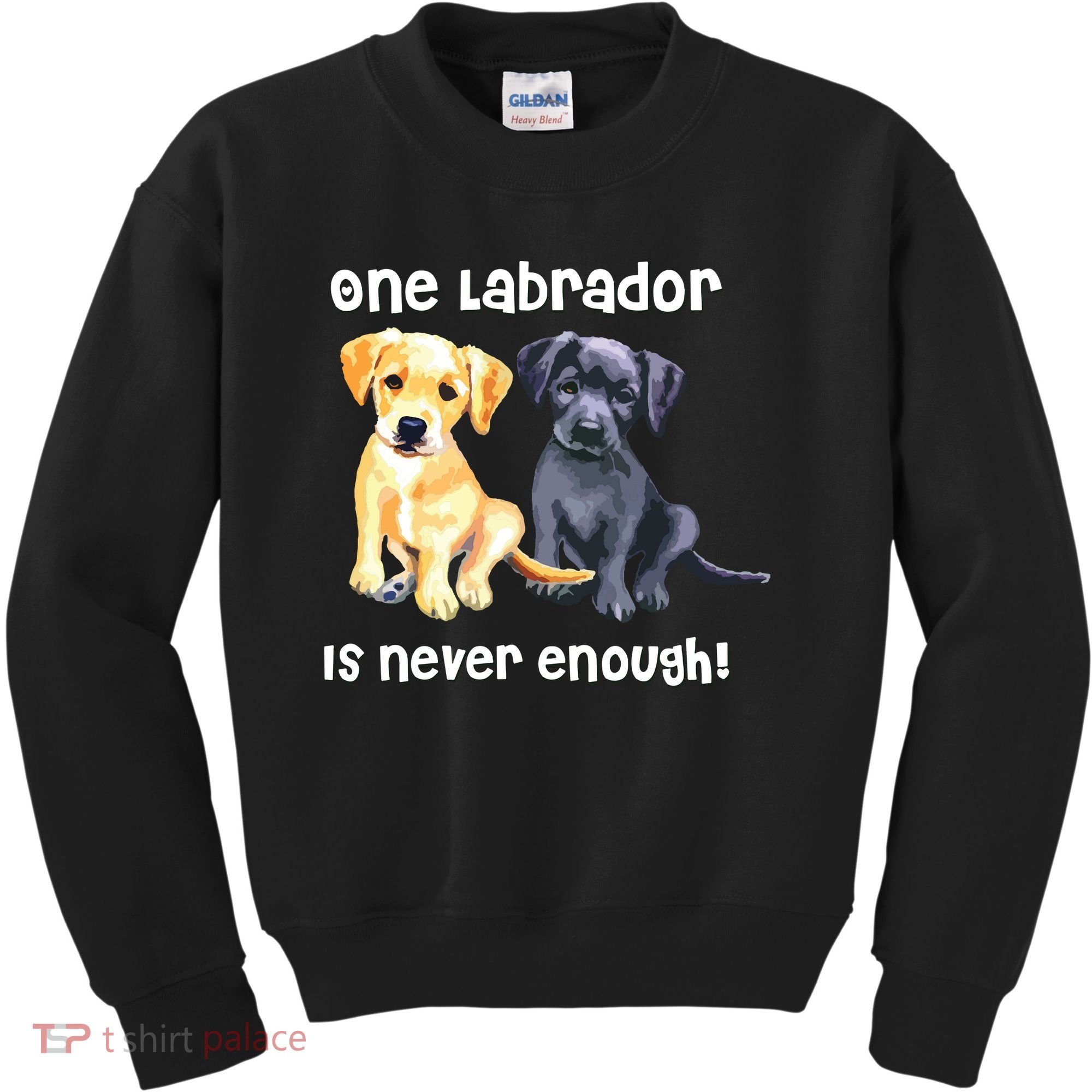 Labrador Pet Dog Funny T Gift Black Golden Yellow Lab Kids Sweatshirt