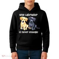 Labrador Pet Dog Funny T Gift Black Golden Yellow Lab Kids Hoodie thumb 4