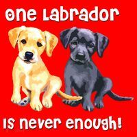 Labrador Pet Dog Funny T Gift Black Golden Yellow Lab Santa Hat thumb 1