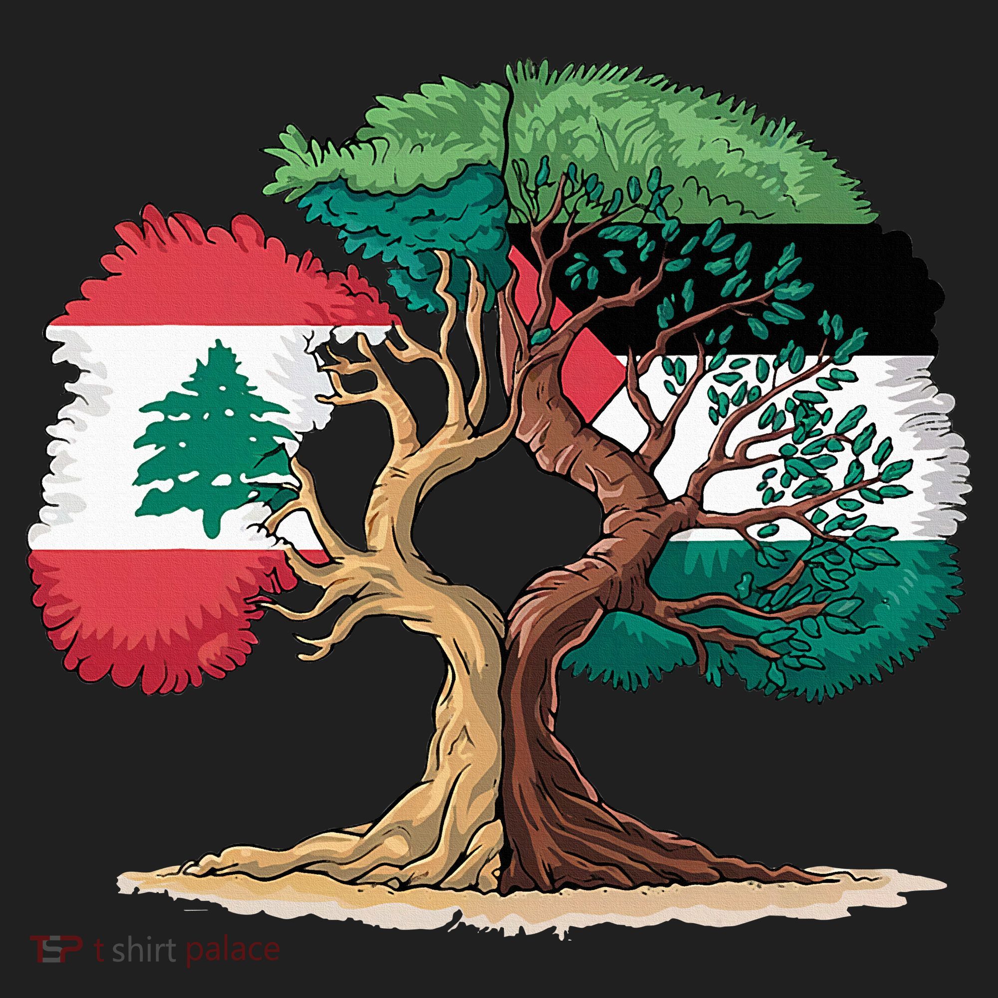 Lebanon Palestine Flag Lebanese Palestinian Women's Sweatshirt