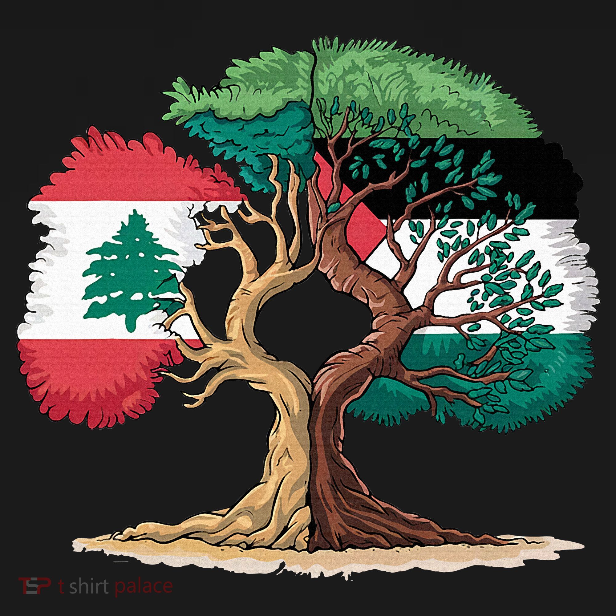Lebanon Palestine Flag Lebanese Palestinian Women's Hoodie