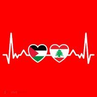 Lebanon Palestine Flag Lebanese Palestinian Unity Heartbeat Santa Hat thumb 1