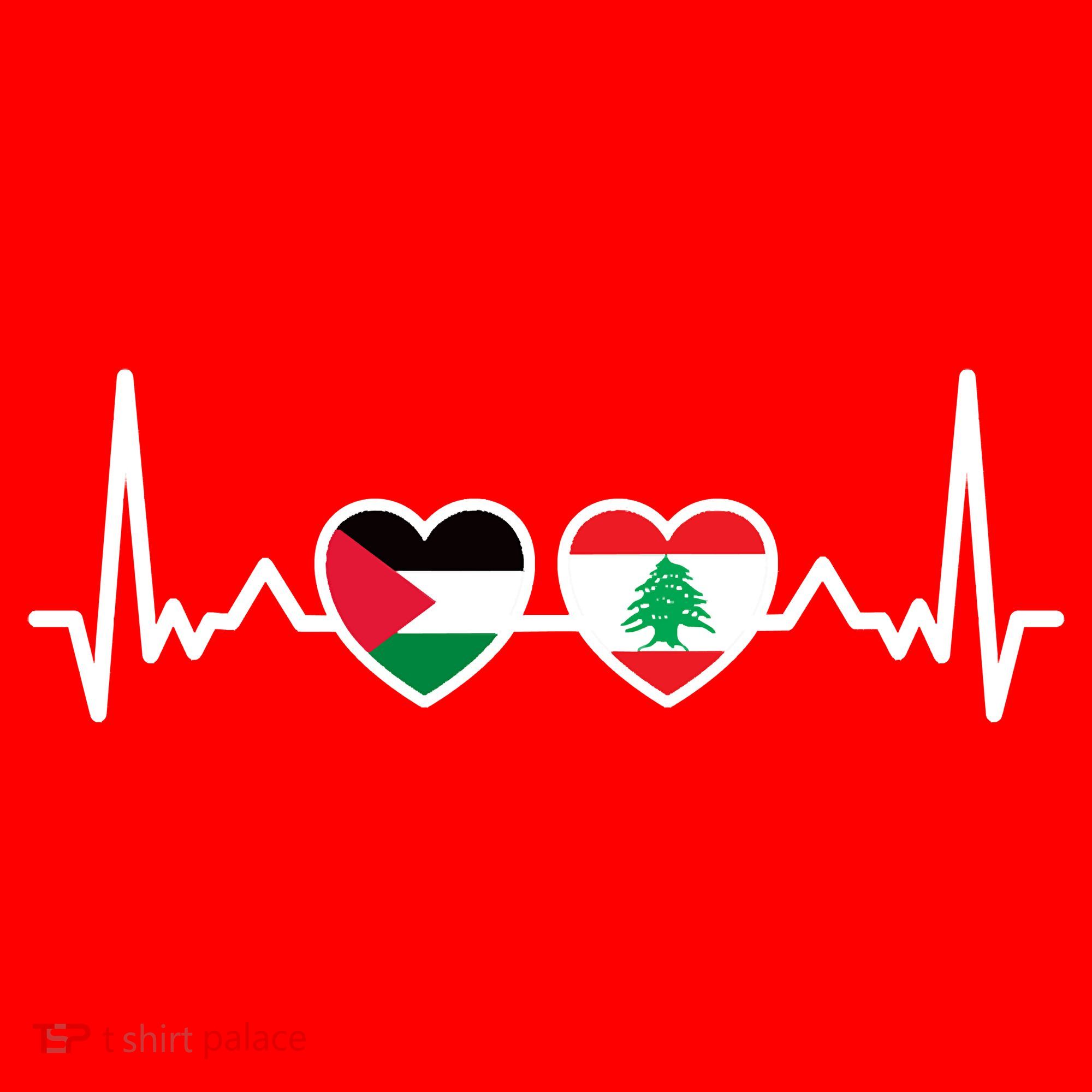Lebanon Palestine Flag Lebanese Palestinian Unity Heartbeat Santa Hat
