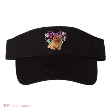 Visor