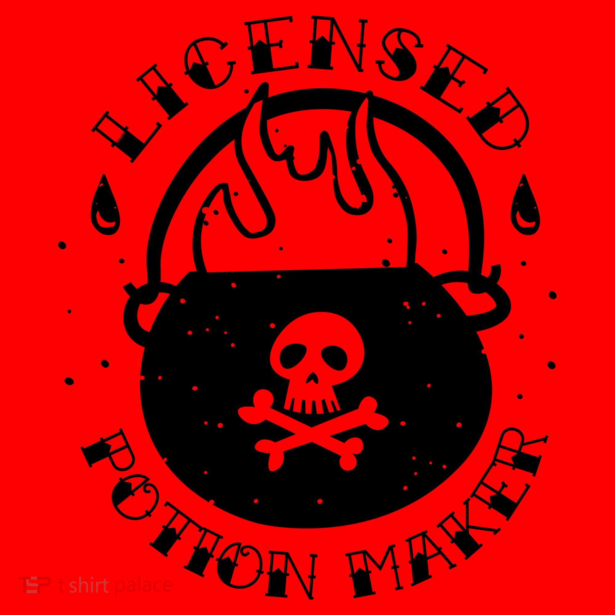 Licensed Potion Maker Santa Hat