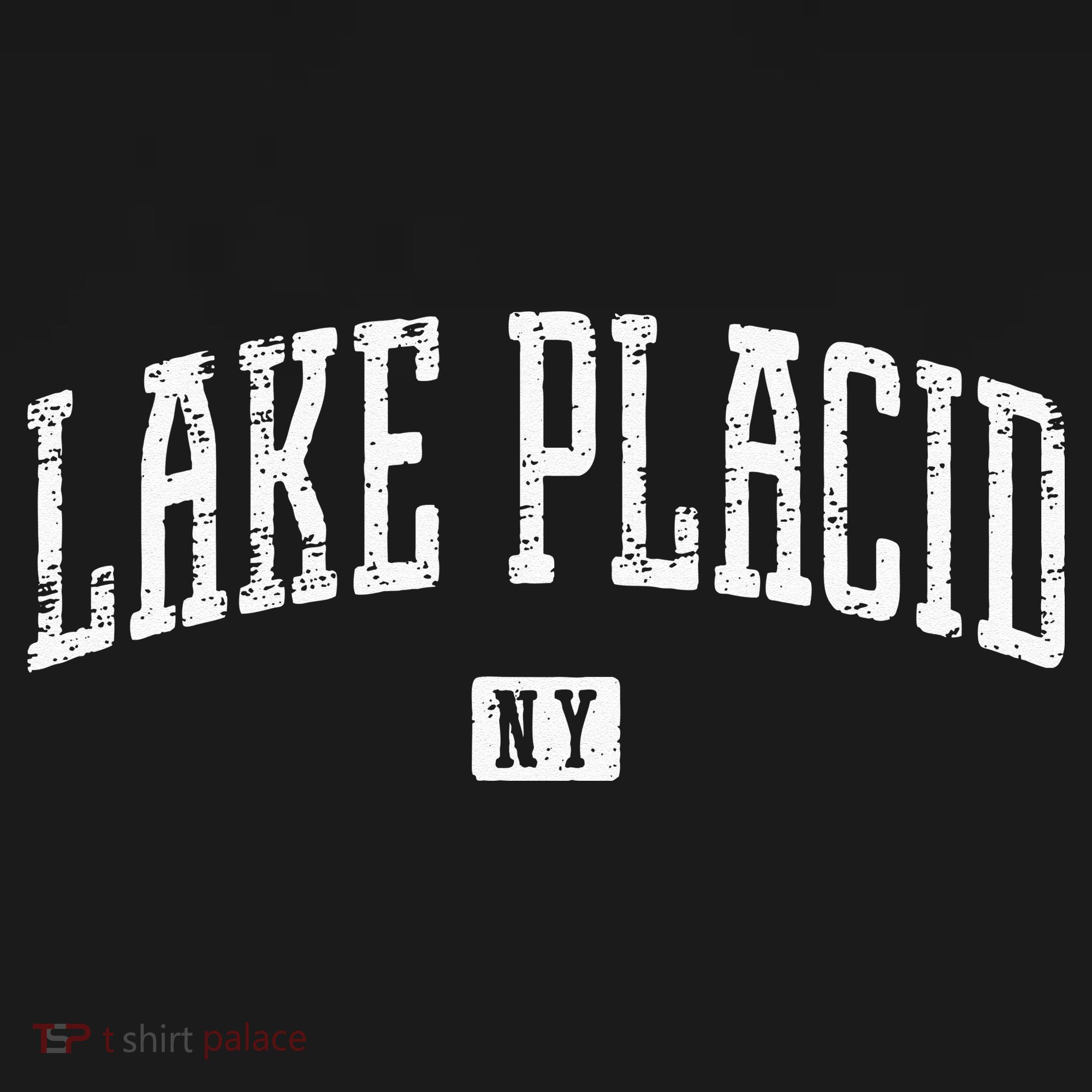 Lake Placid NY Icon Vintage City T-Shirt