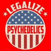 Legalize Psychedelics Pro Freedom Pro America Retro Us Flag Gift Santa Hat thumb 1