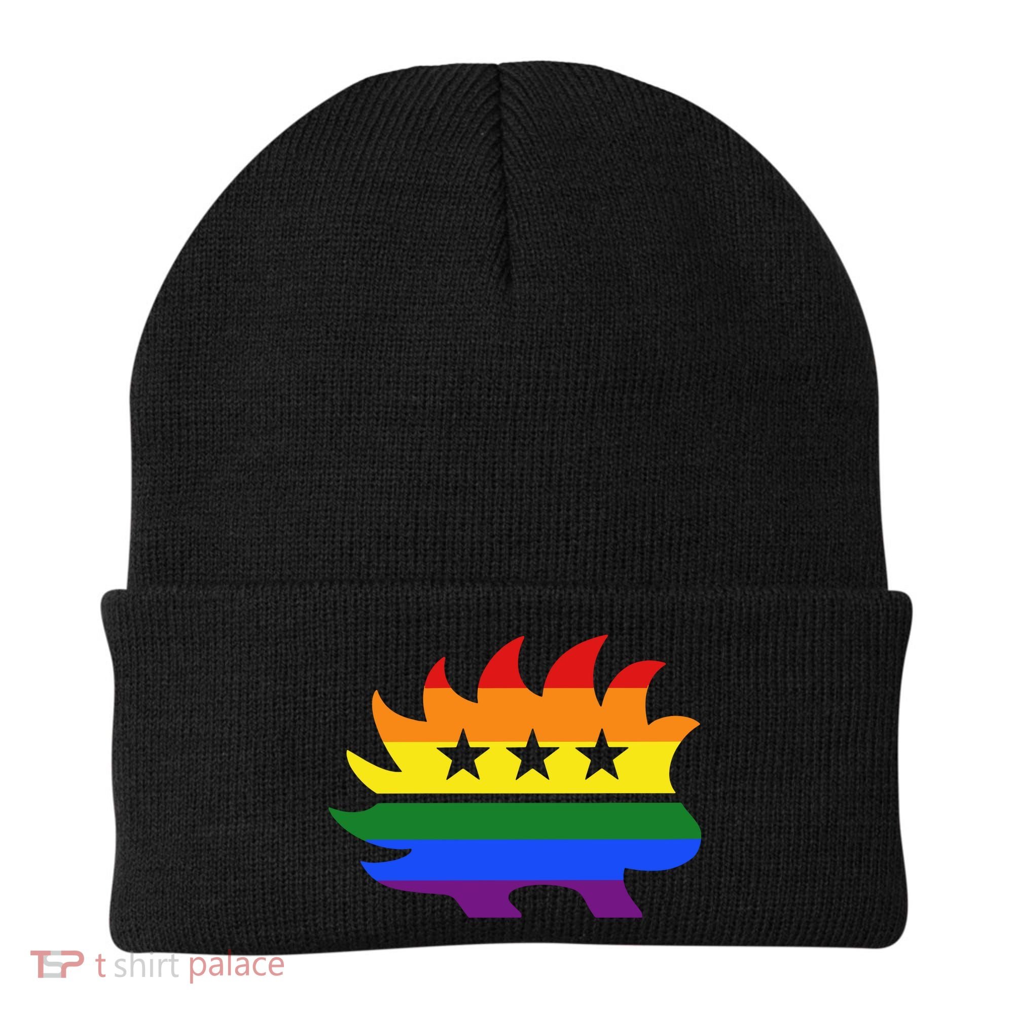 Libertarian Party Porcupine Rainbow Beanie
