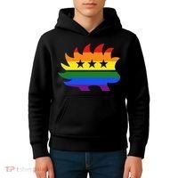 Libertarian Party Porcupine Rainbow Kids Hoodie thumb 4