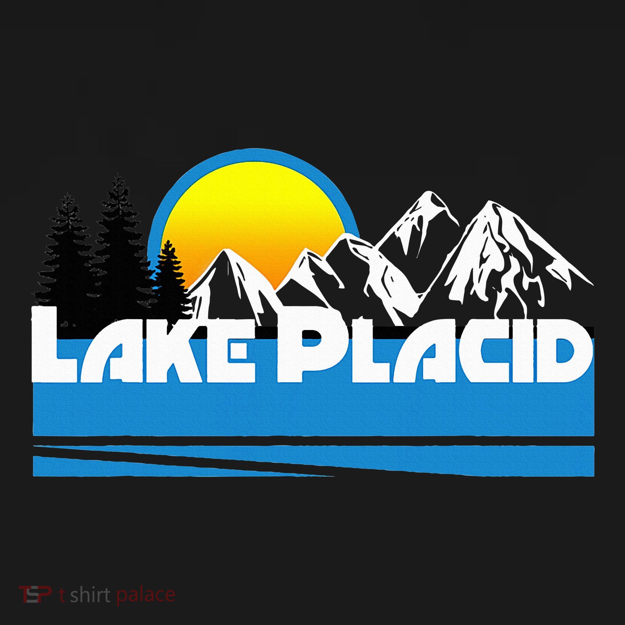 Lake Placid T Retro Style Lake Placid Ny Hoodie