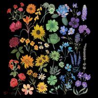 Lgbt Pride Wildflowers Pride Month Coaster thumb 2