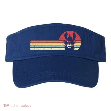 Visor