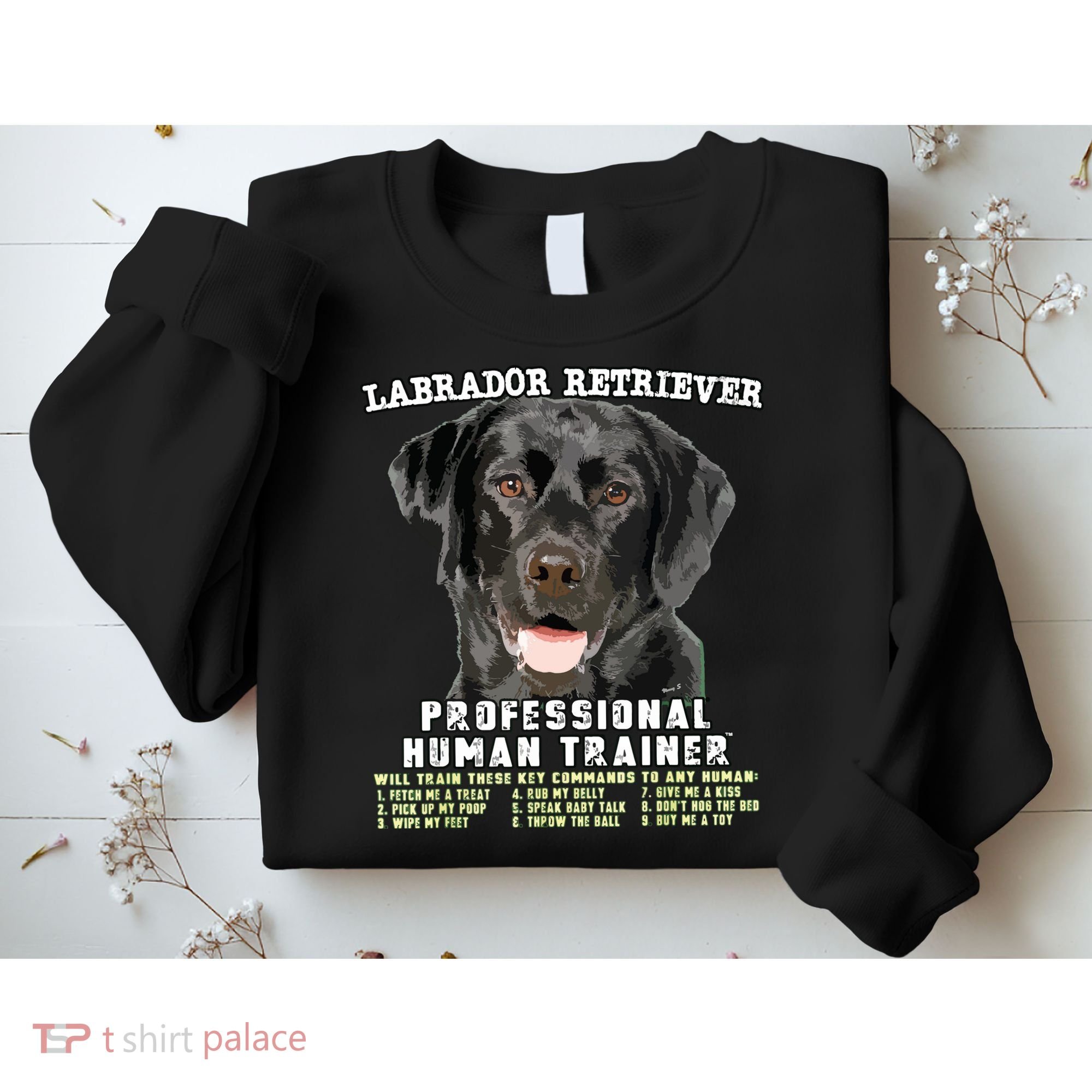 Labrador Retriever Black Lab Professional Human Trainer Sweatshirt