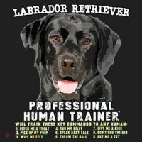 Labrador Retriever Black Lab Professional Human Trainer Beanie thumb 2