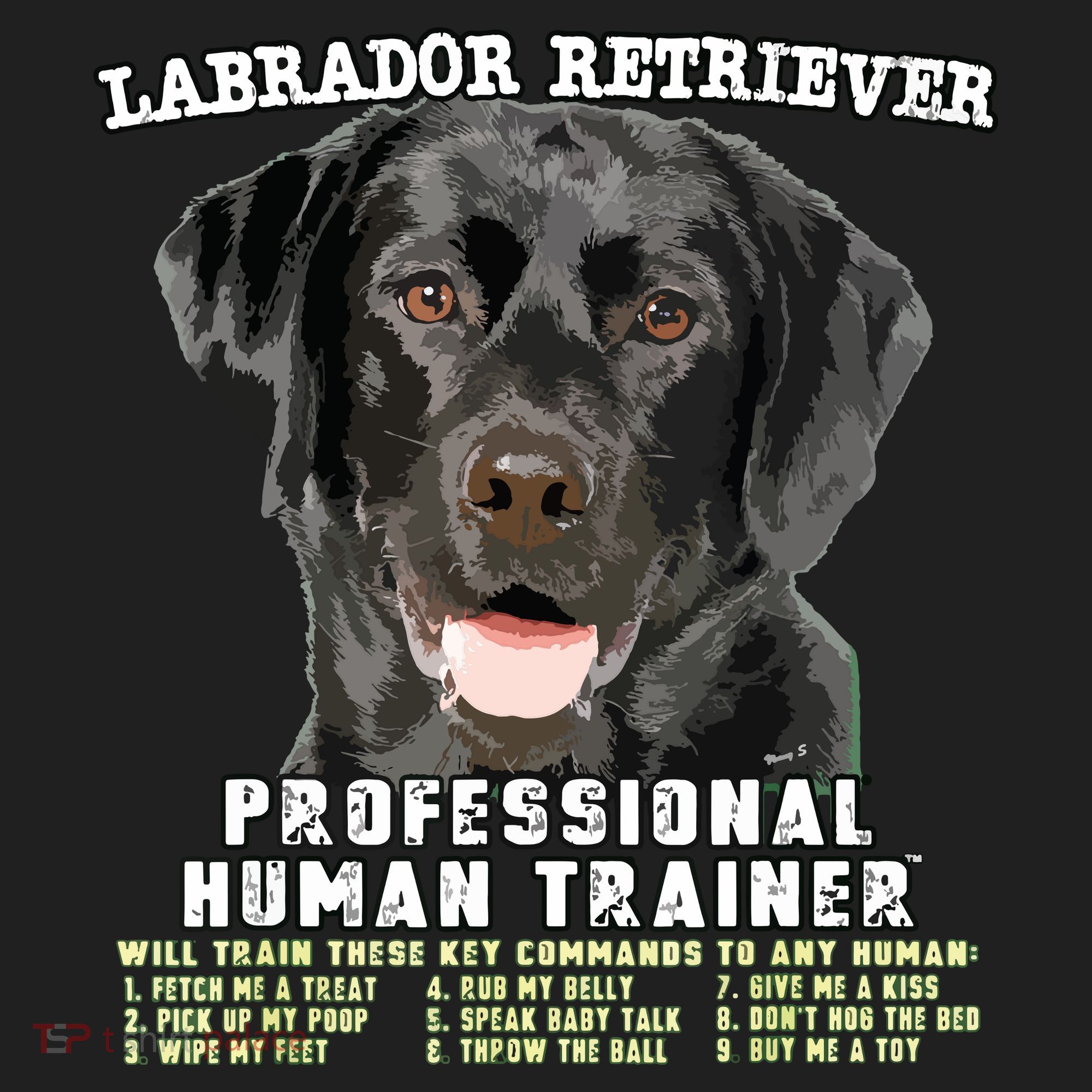 Labrador Retriever Black Lab Professional Human Trainer Hat