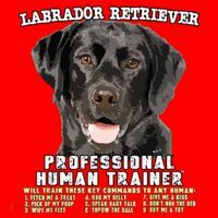 Labrador Retriever Black Lab Professional Human Trainer Santa Hat thumb 1