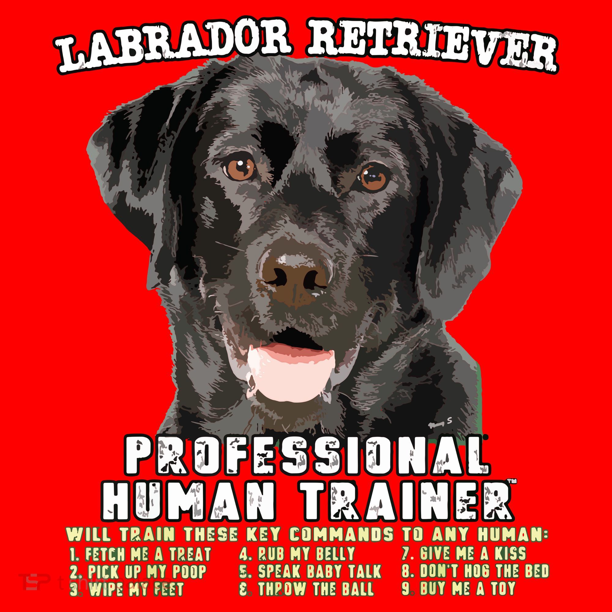 Labrador Retriever Black Lab Professional Human Trainer Santa Hat