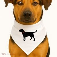 Labrador Retriever Black USA-Made Doggie Bandana thumb 1