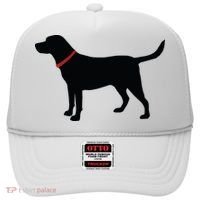 Labrador Retriever Black Hat thumb 0