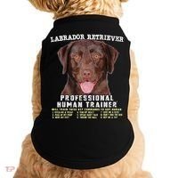Labrador Retriever Chocolate Lab Professional Human Trainer Cute Dog Doggie Tank thumb 0